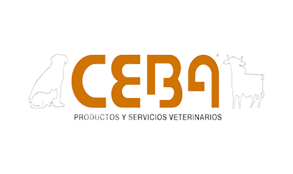 CEBA-PhotoRoom_2